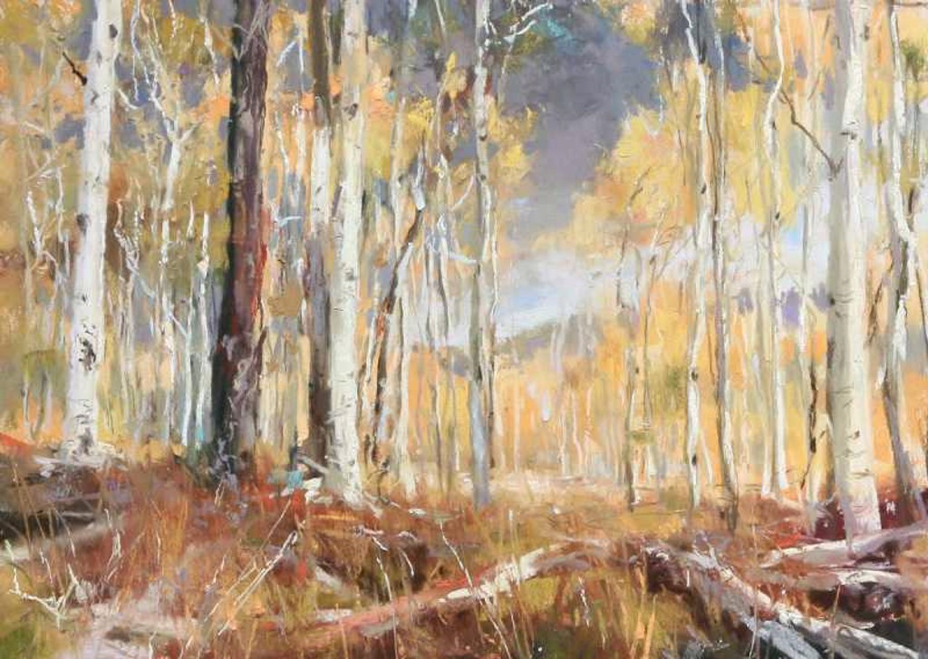 Forest Light by Clive R. Tyler | InSight Gallery