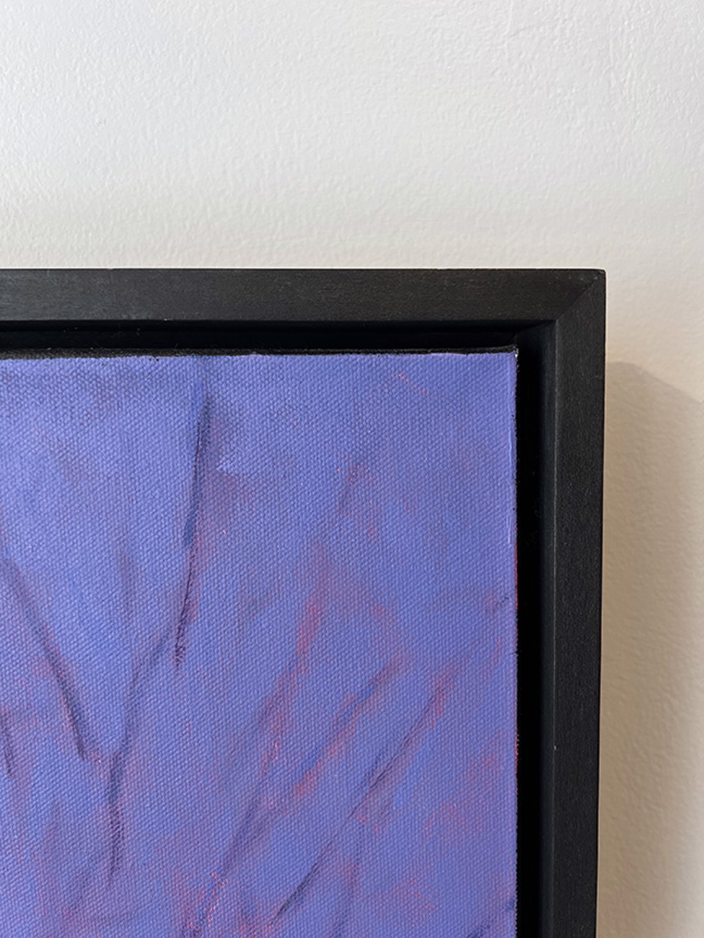 Rose Light by Peter Batchelder