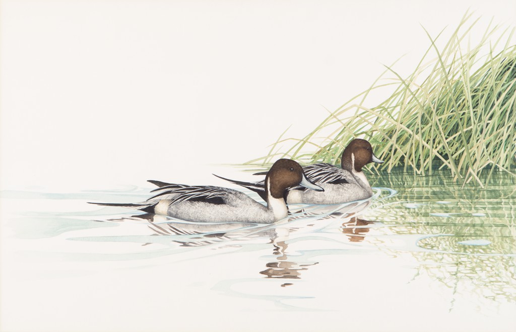 Ducks by Joyce Hagerbaumer Reed