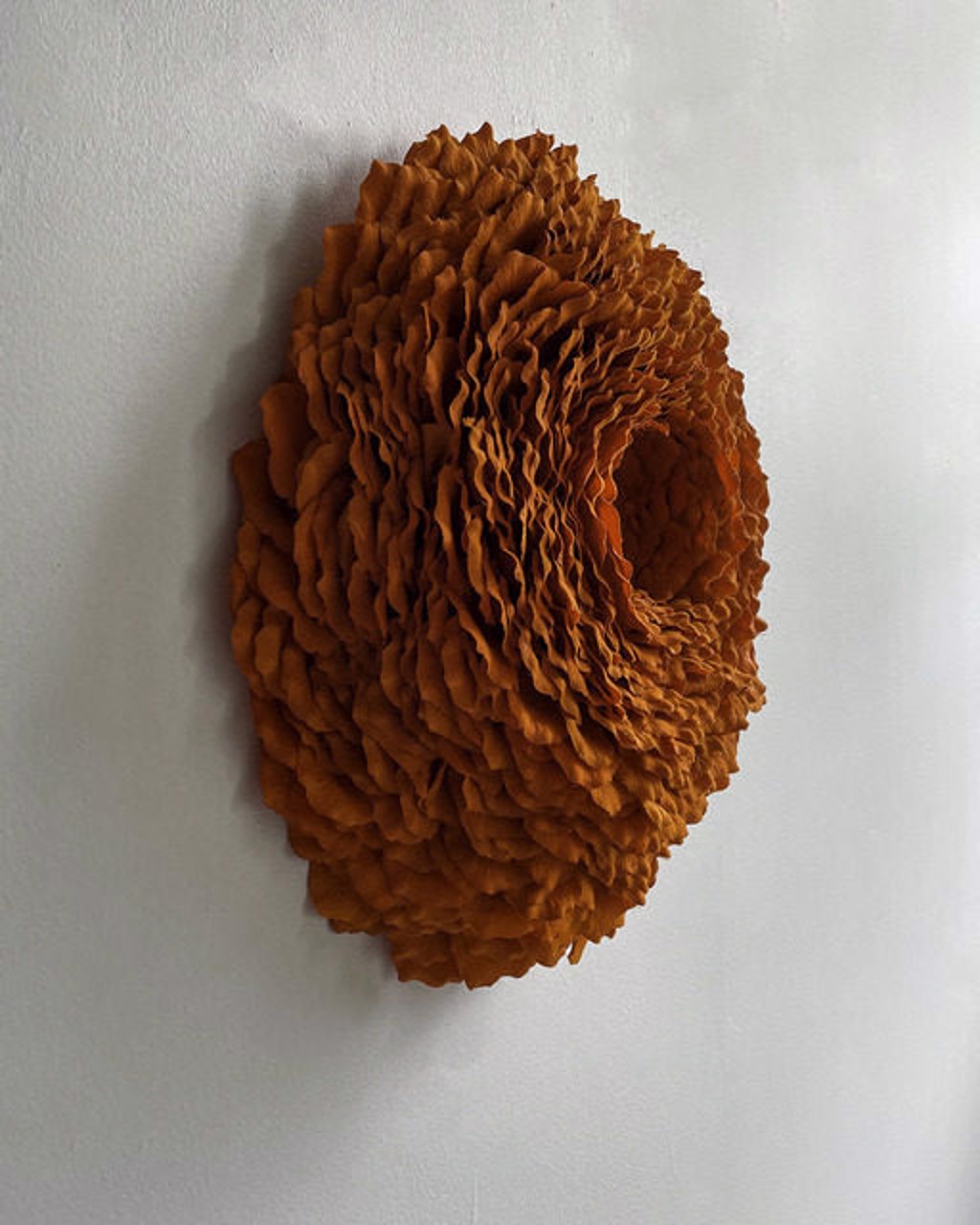 Lichen 5 by Molly Gambardella