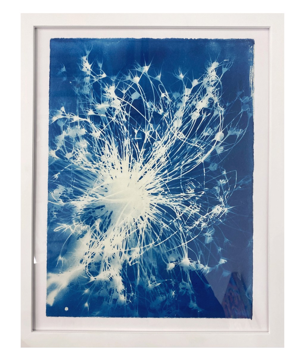 Starburst by Rachel Wolfson Smith