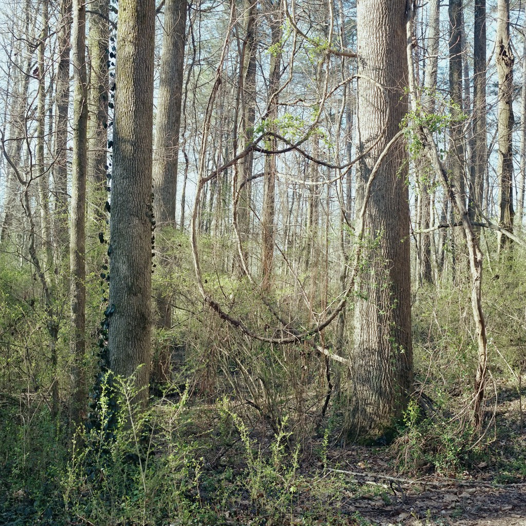 Mason Lines by Virginie Drujon-Kippelen