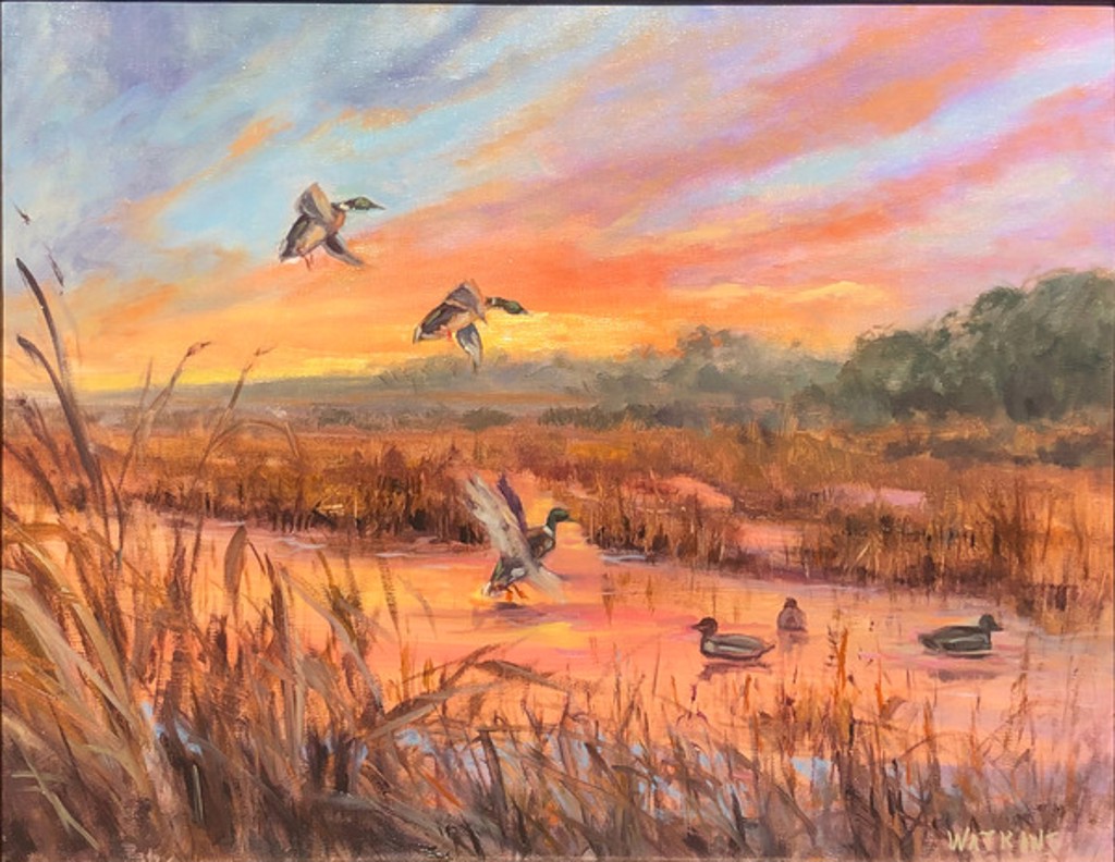 The Drop Ins by Peggy Watkins