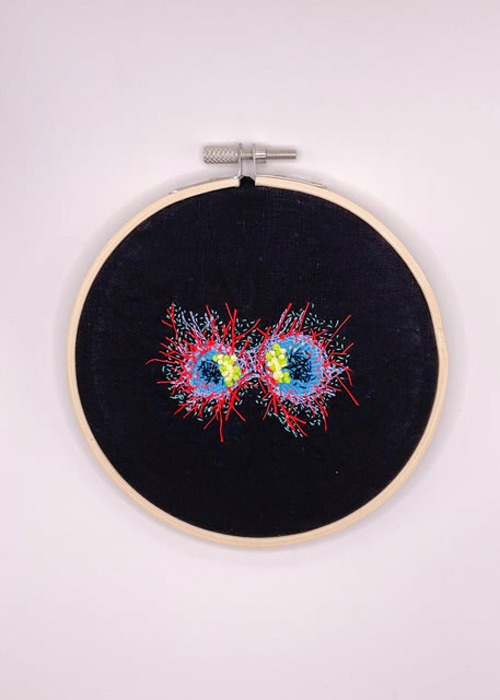 Cell Division by Natalia Schonowski