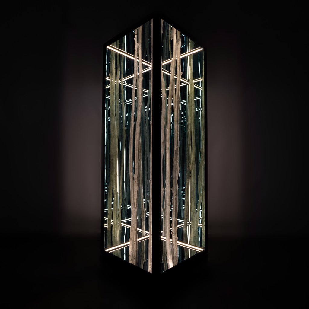 Freestanding Birch by Anthony James | Melissa Morgan Fine Art, image size:1024x1024