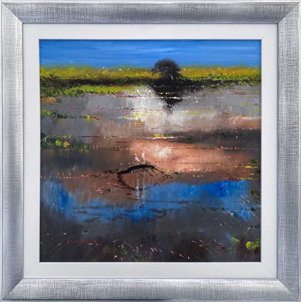 Kakadu Wetlands by Colin Parker