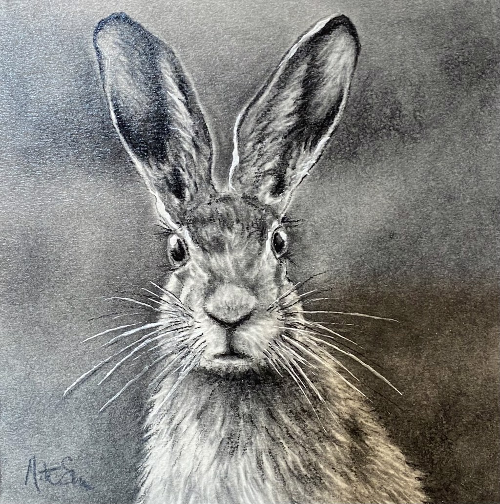 MR. BIG EARS by Matthew Schreiner