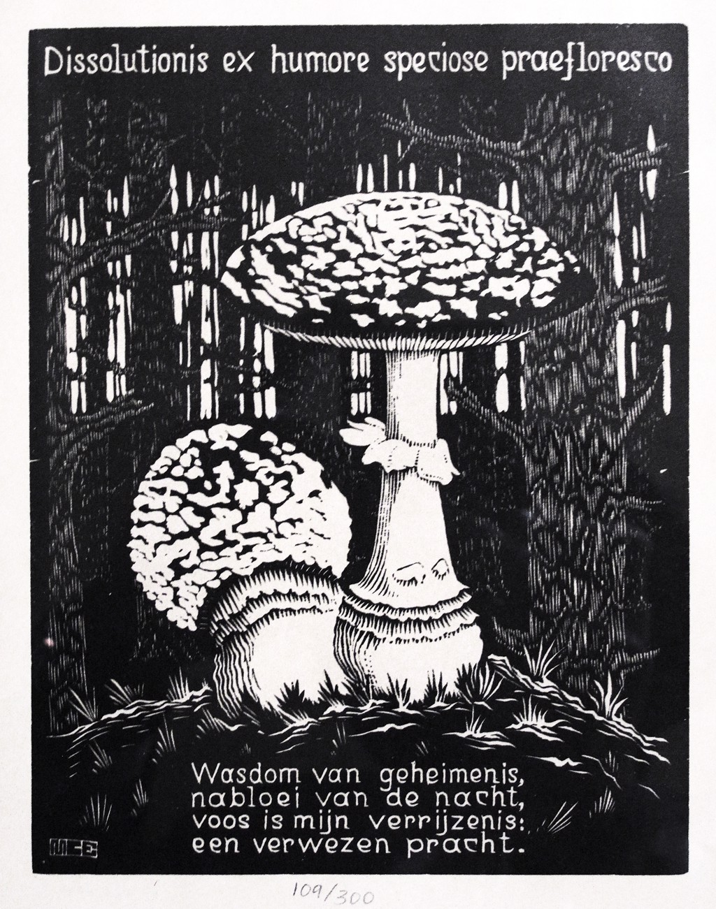 絵画 ECSTACY Emblemata - Toadstool by M.C. Escher | Skot Foreman Gallery