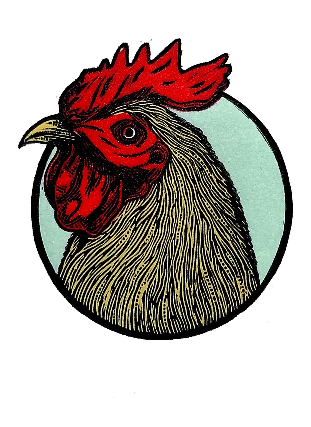 Gallo by Jose Luis Vasquez
