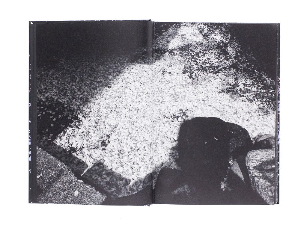 Daido Moriyama: Ango サイン入り Daido Moriyama: Ango (SIGNED), Bookshop M, 2017 | Bookshop Le Plac