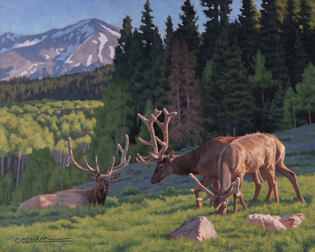 Summer Bounty by Cody Oldham