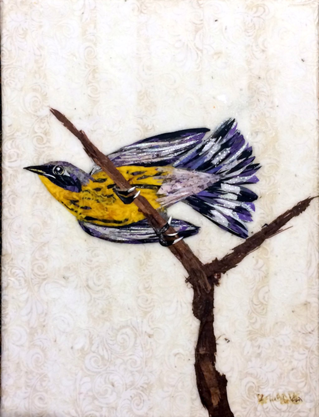 Magnolia Warbler 2 by Laura Adams