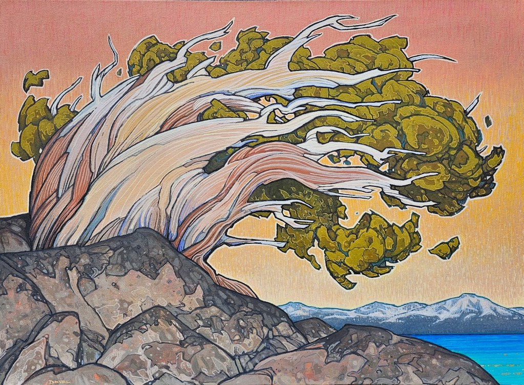 Sierra Juniper above Lake Tahoe by Eric Bevel