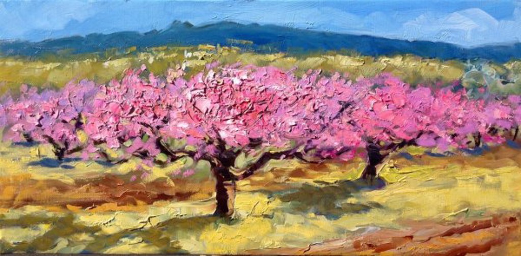 Apricot Blossoms In The Field by Maria Bertrán