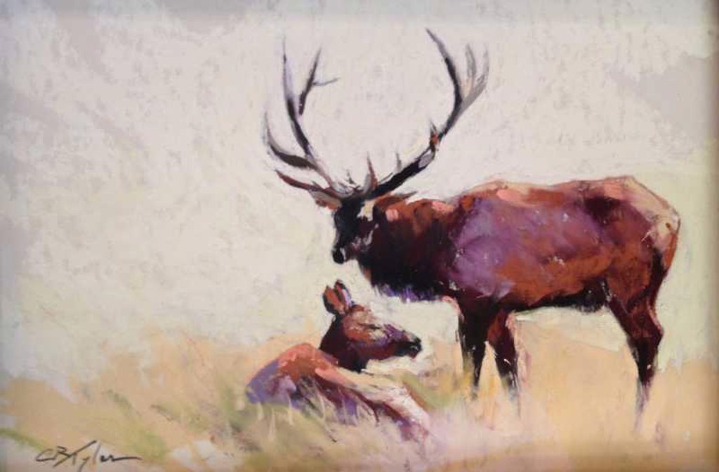 Elk Afternoon by Clive R. Tyler | InSight Gallery