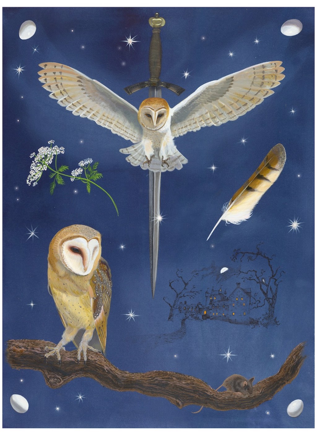 【廃盤品】 Birds Barn owl 親 Birds of Shakespeare: Barn Owl by Missy Dunaway | Portland Art Gallery