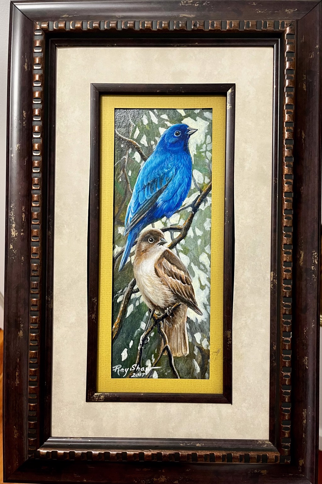 Sitting Pretty - Blue Bunting by Ray Shaw