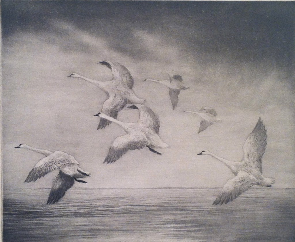 Six Swans by Roland Clark