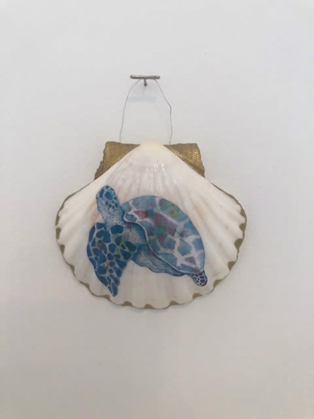 The House of Venus – Turtle by Giulia Ronchetti