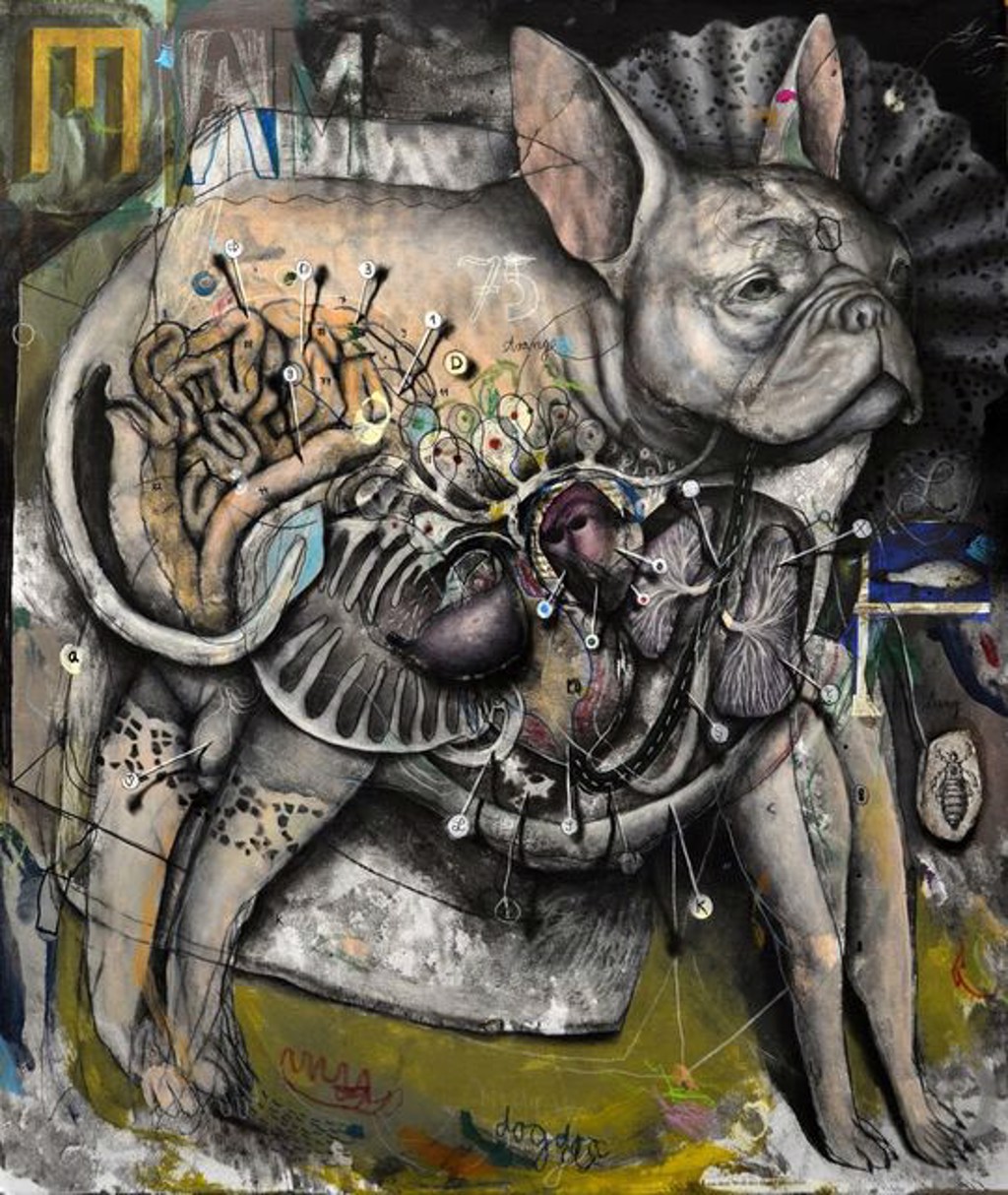 Dog by Dominik Schmitt