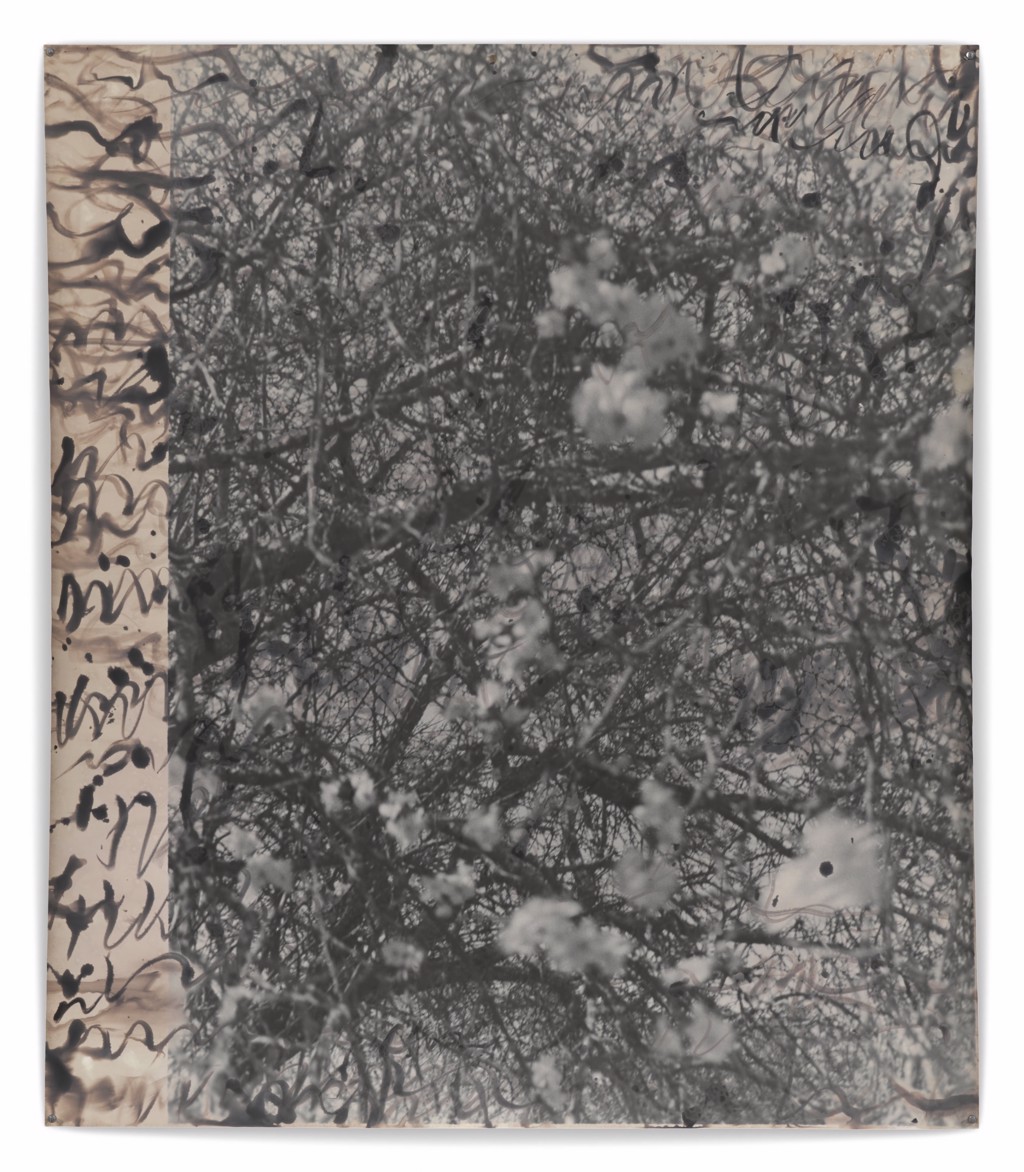 Jeff cowen (89) 사진