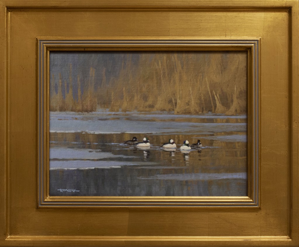 A Group of Buffleheads by Jim Rataczak