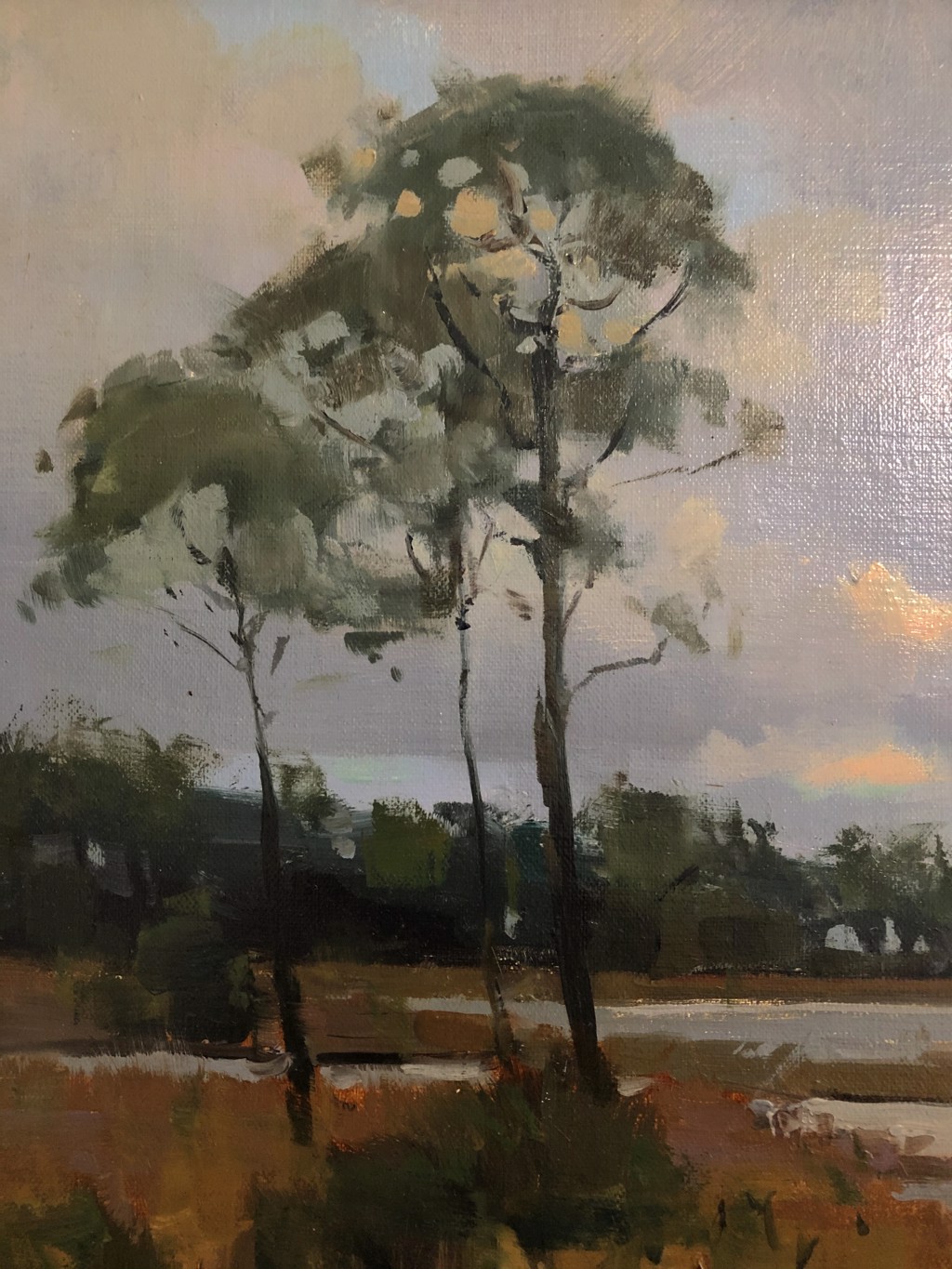 Afternoon On The Marsh by James Richards, AIS Master