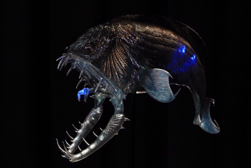 Alligator Angler Fish by Yuri Everson | Bill Wyland Galleries Lahaina LLC