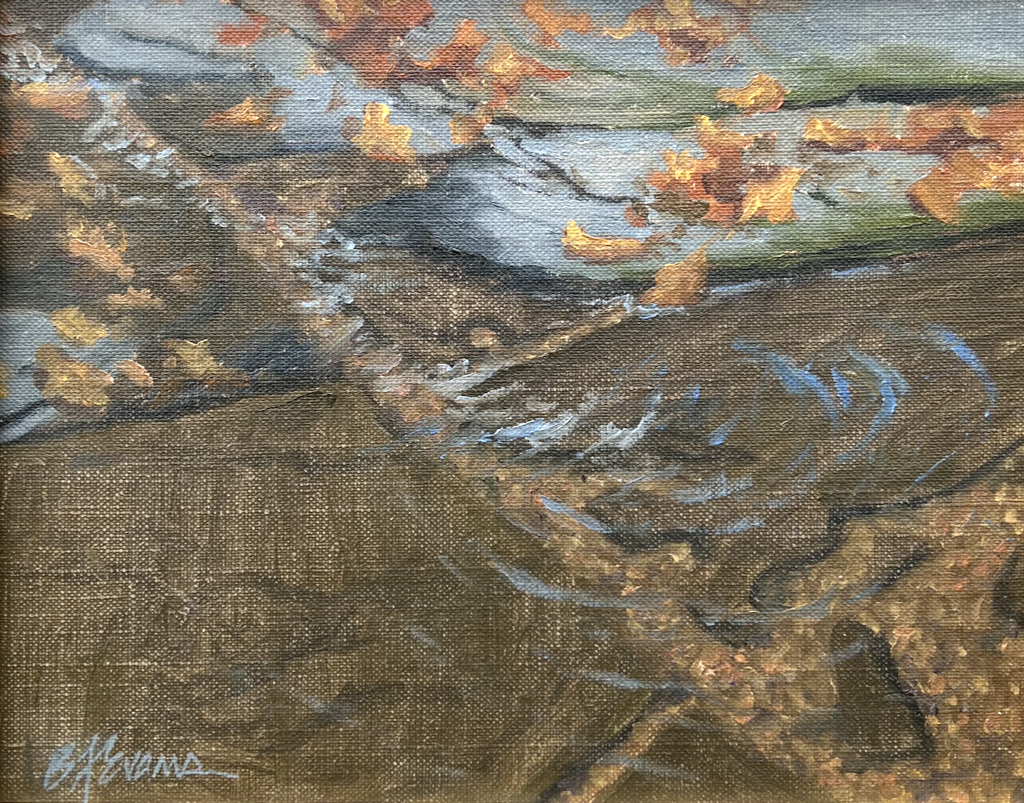 Shallow Waters by Beverly Ford Evans