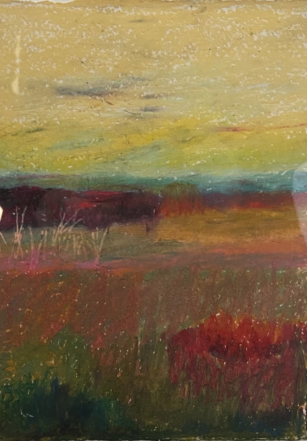 Red in the Landscape by Donne Bitner