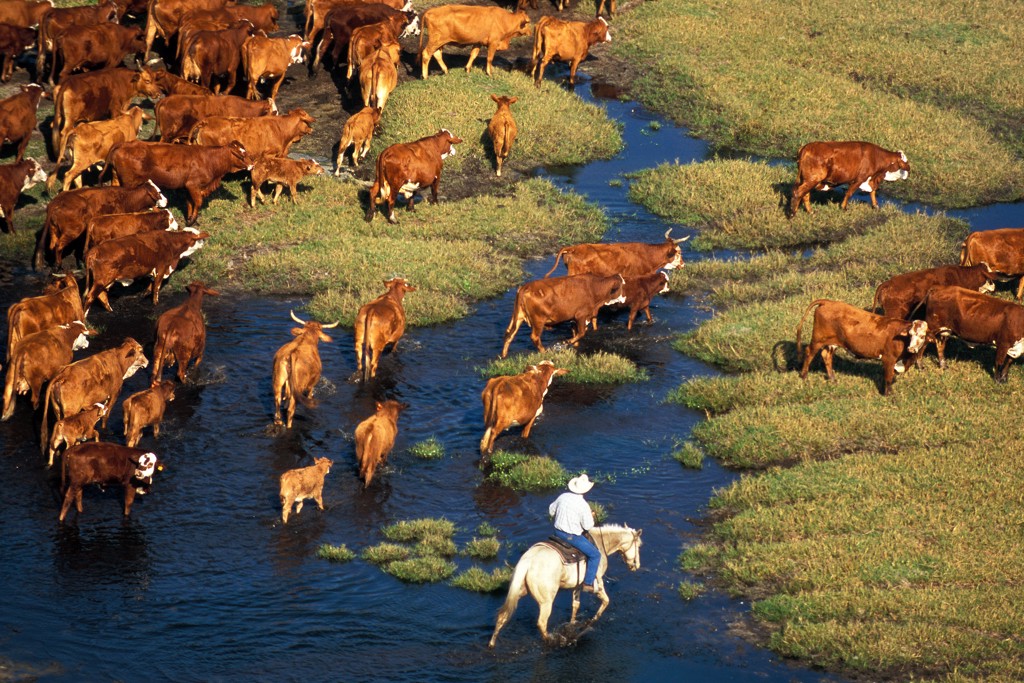 Adams Ranch Aerial by Carlton Ward Photography | Carlton Ward Photography