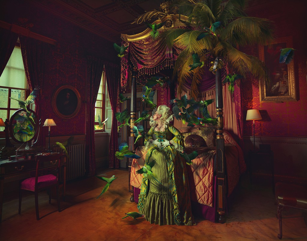 The Parrot Room by Miss Aniela