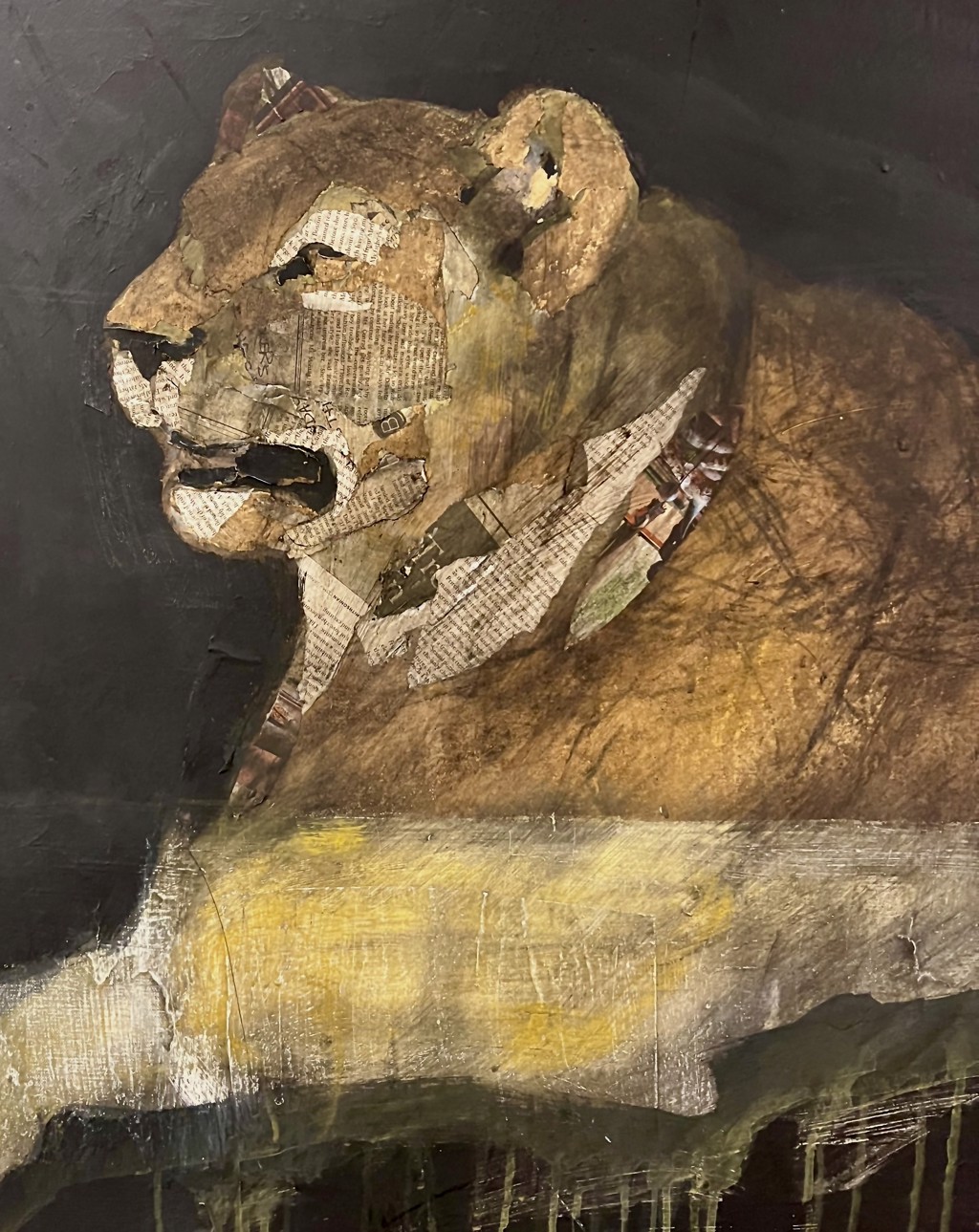 Africa: Lioness, Waiting by Helen Durant