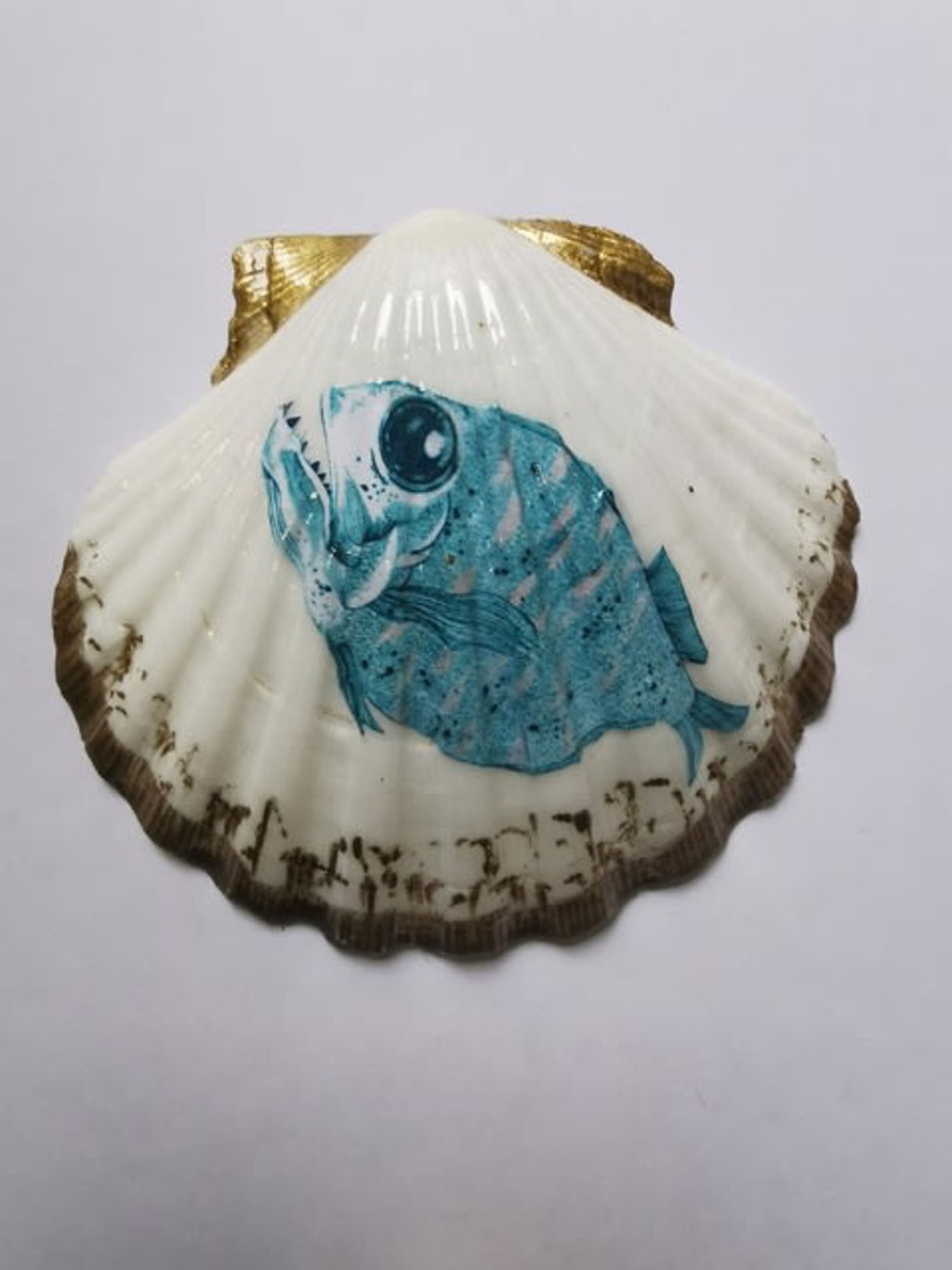 The House of Venus – Piranha Fish by Giulia Ronchetti