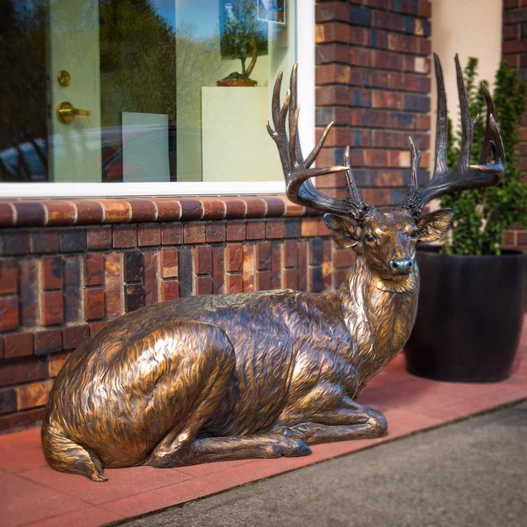 Whitetail by Rip Caswell | Gallery Wild