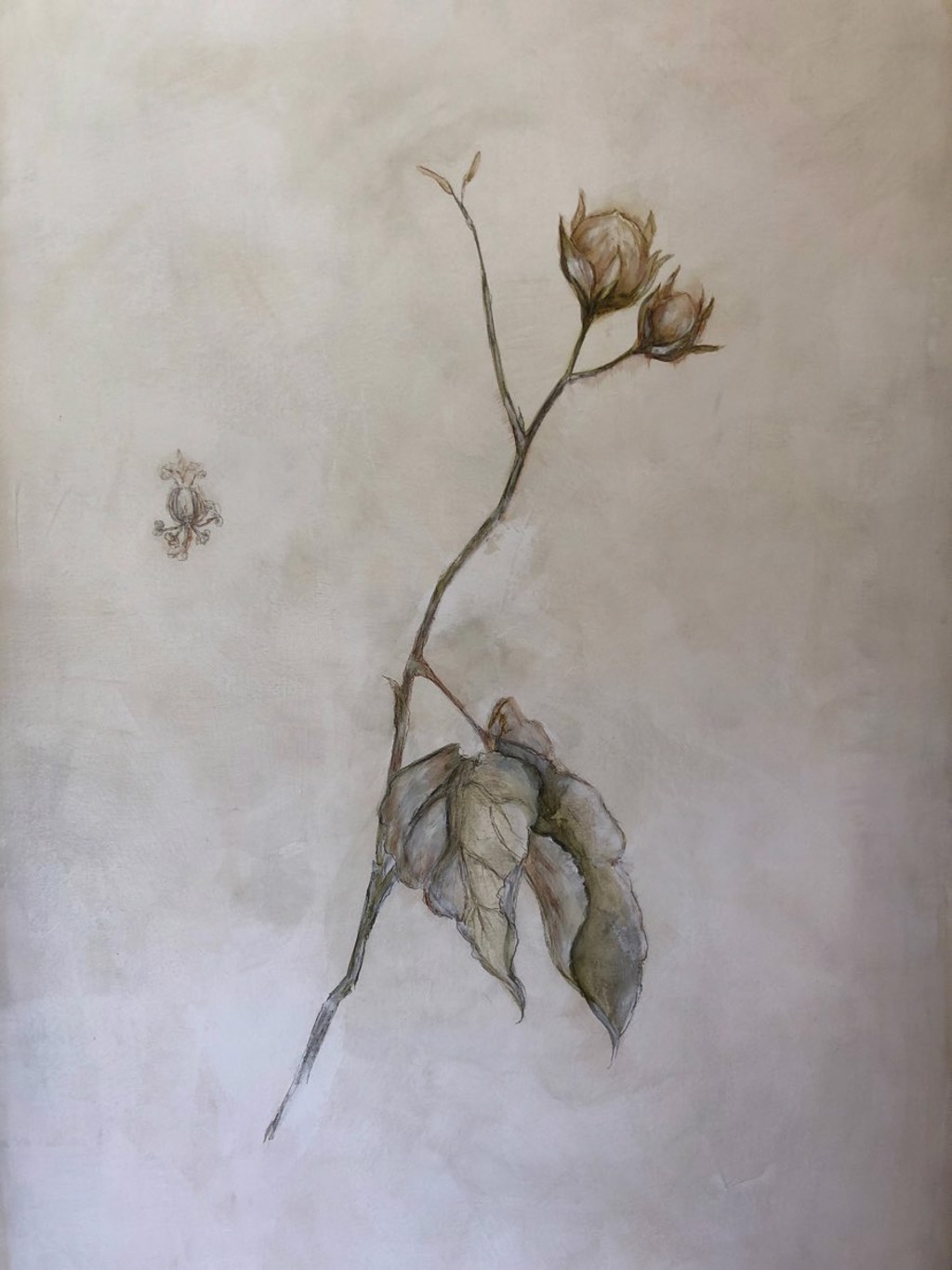 OPEN BLOOM II by Jennifer La Pierre