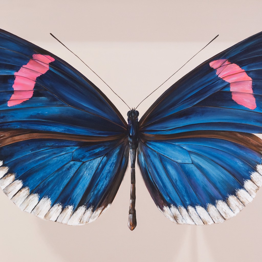 The Giant collection : Heliconius erato cyrbia by Mantra