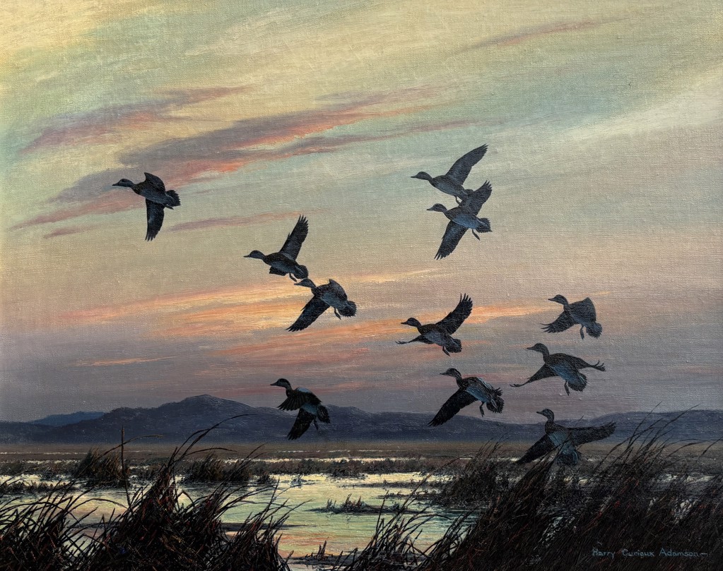 Evening in the Great Basin - Wigeon by Harry C. Adamson