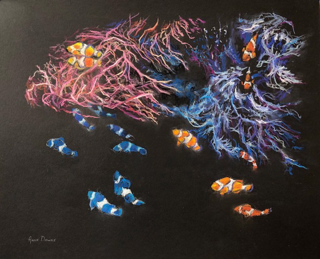 When Clownfish Gather by Anne Downs