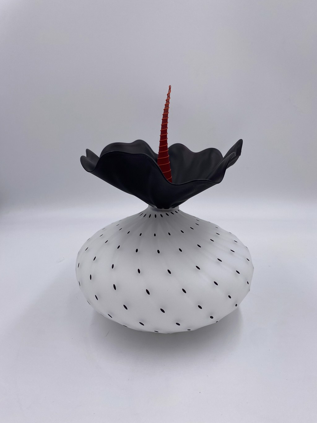 Bobtanical Urchin - White/Black by Kliszewski Glass