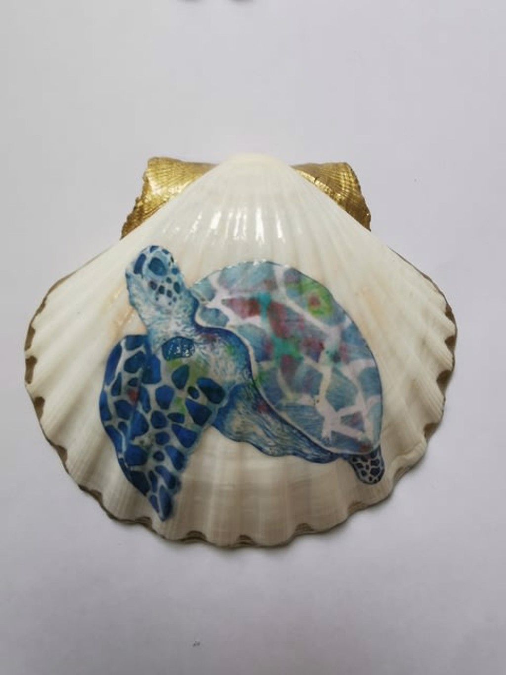 The House of Venus – Turtle by Giulia Ronchetti