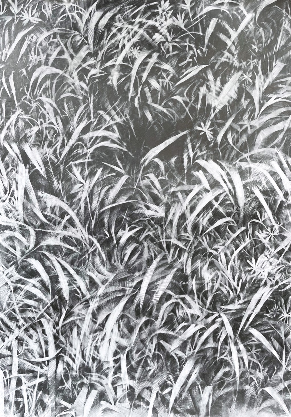 Grass Composition 4 by Rachel Wolfson Smith