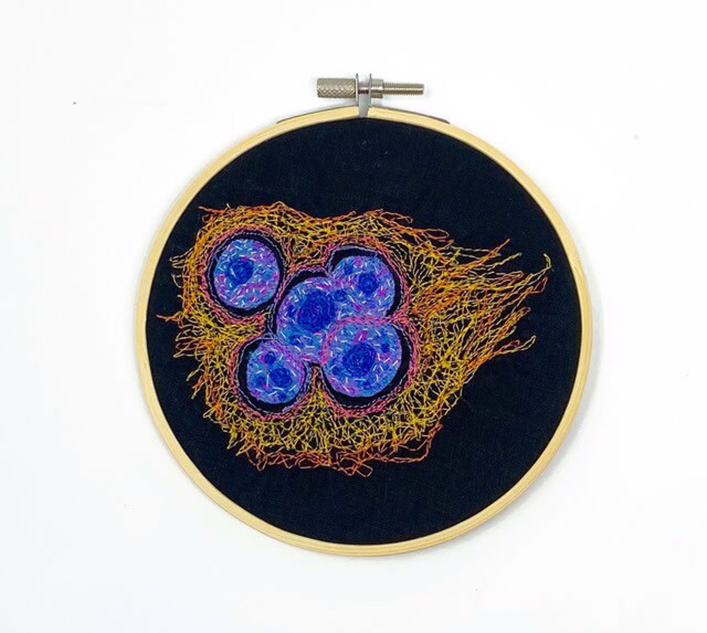 Human Skin Cell by Natalia Schonowski