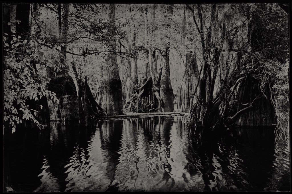The March by Montalvo & McCullers
