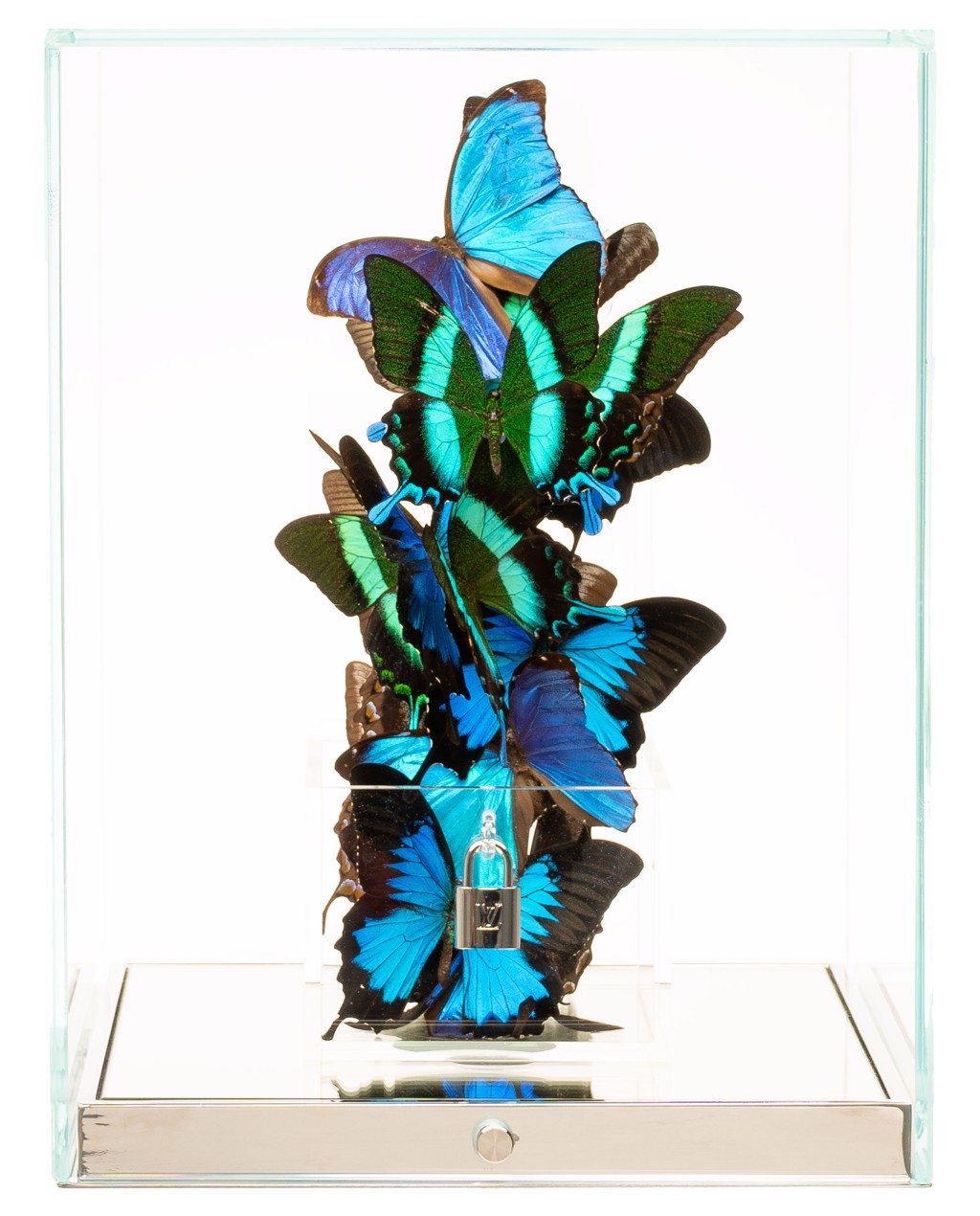 Roman Feral Love Lock Blue Emerald: blue and emerald-green butterflies clustered vertically around a small lock inside a clear display case.