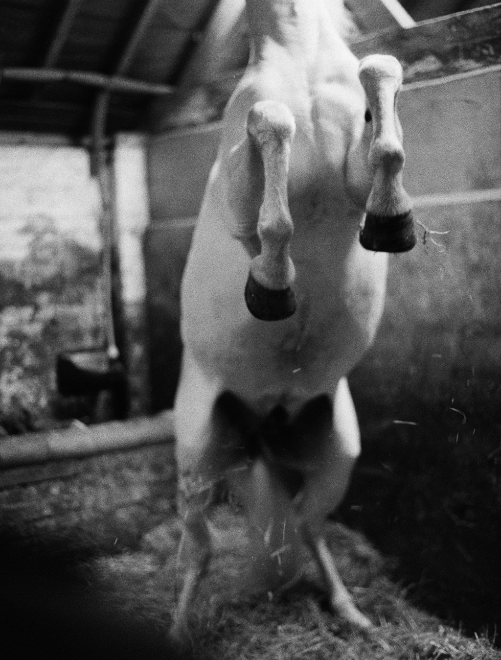 Untitled by Constance Jaeggi
