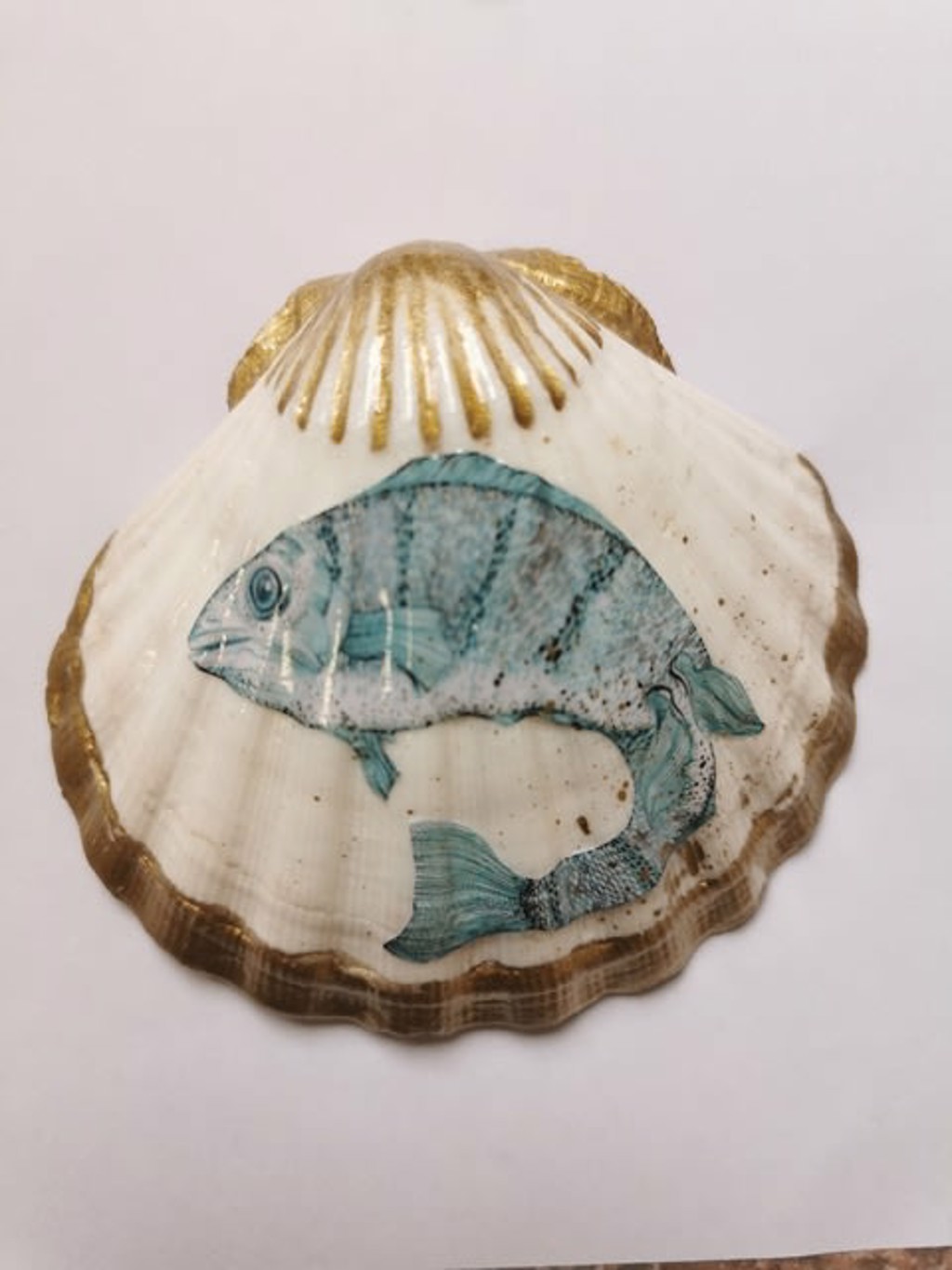 The House of Venus – Fish by Giulia Ronchetti