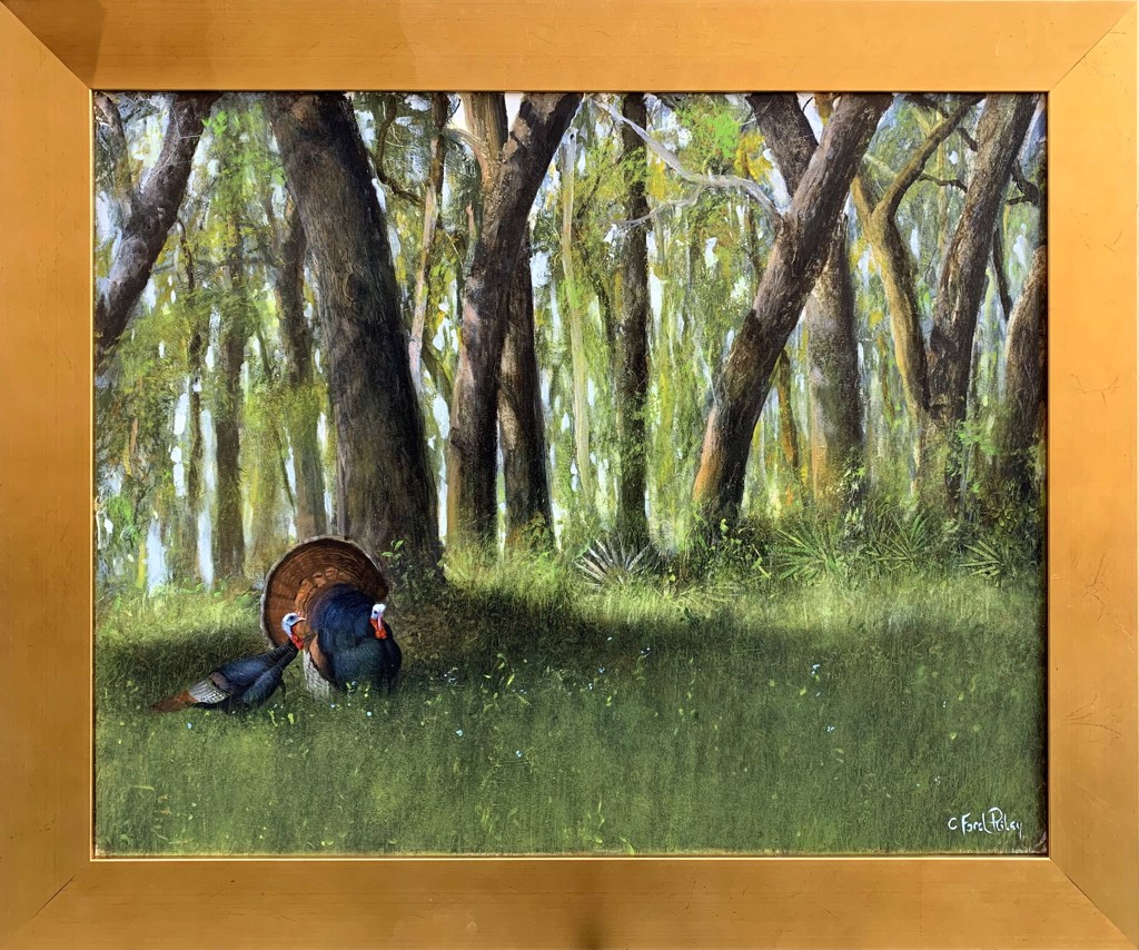 Turkeys by C. Ford Riley
