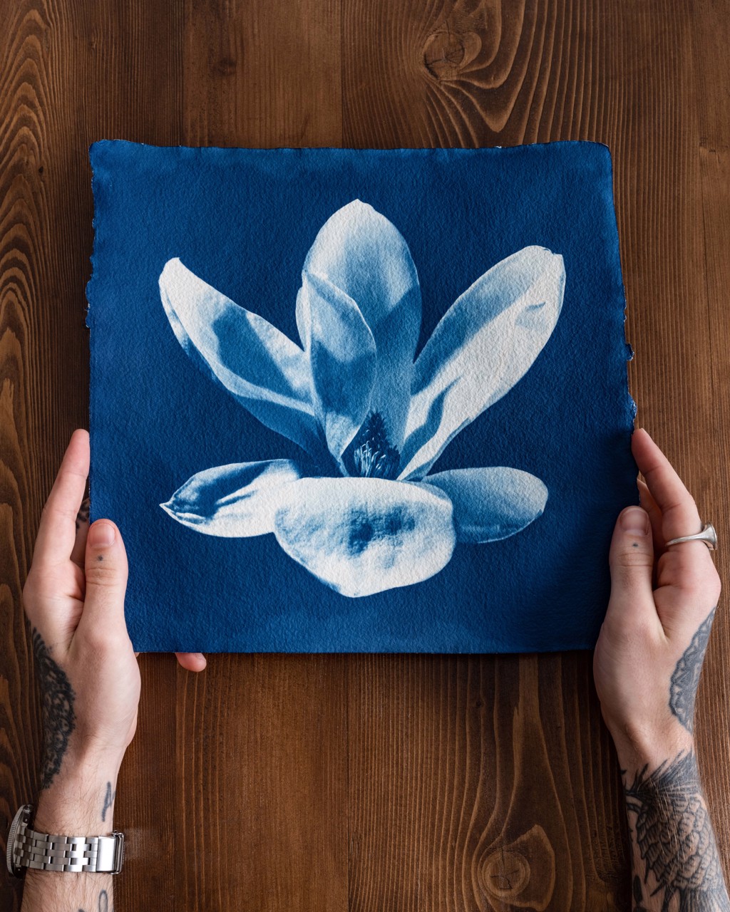 Blue Magnolia by Oliver Bernardi - FLORA | META
