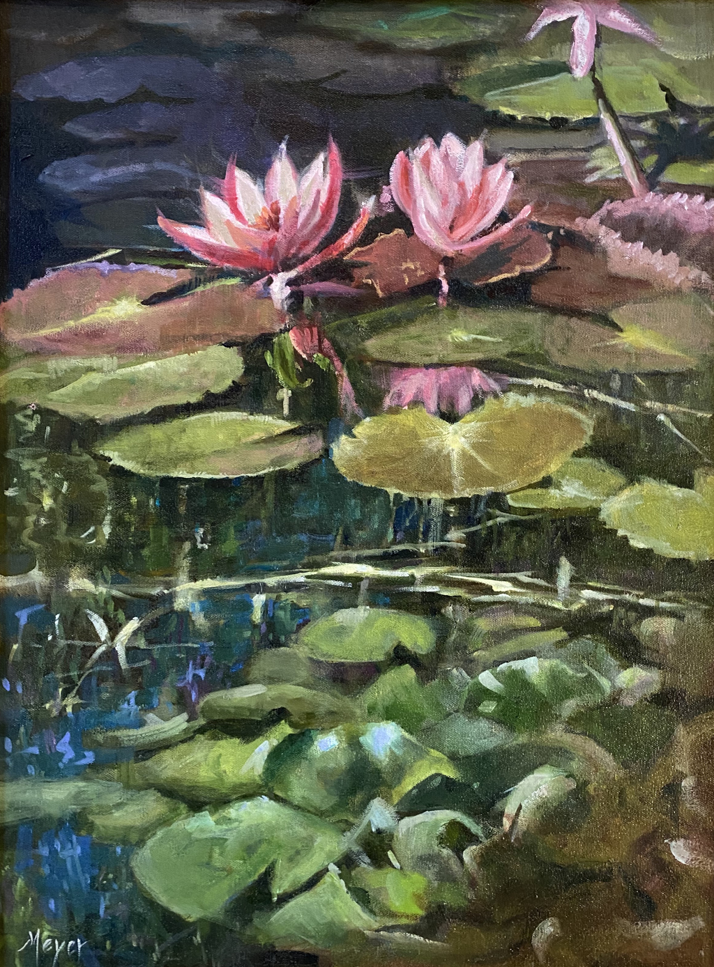Lily, Lily by Laurie Meyer